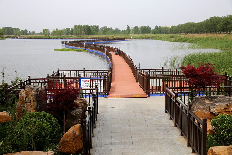 1620367533771573.jpg HW6A0530-800.jpg